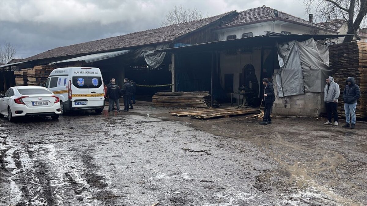 İşçinin kahreden sonu: Tomruk biçme makinesinin üstüne düştü! İşçinin kahreden sonu: Tomruk biçme makinesinin üstüne düştü!
