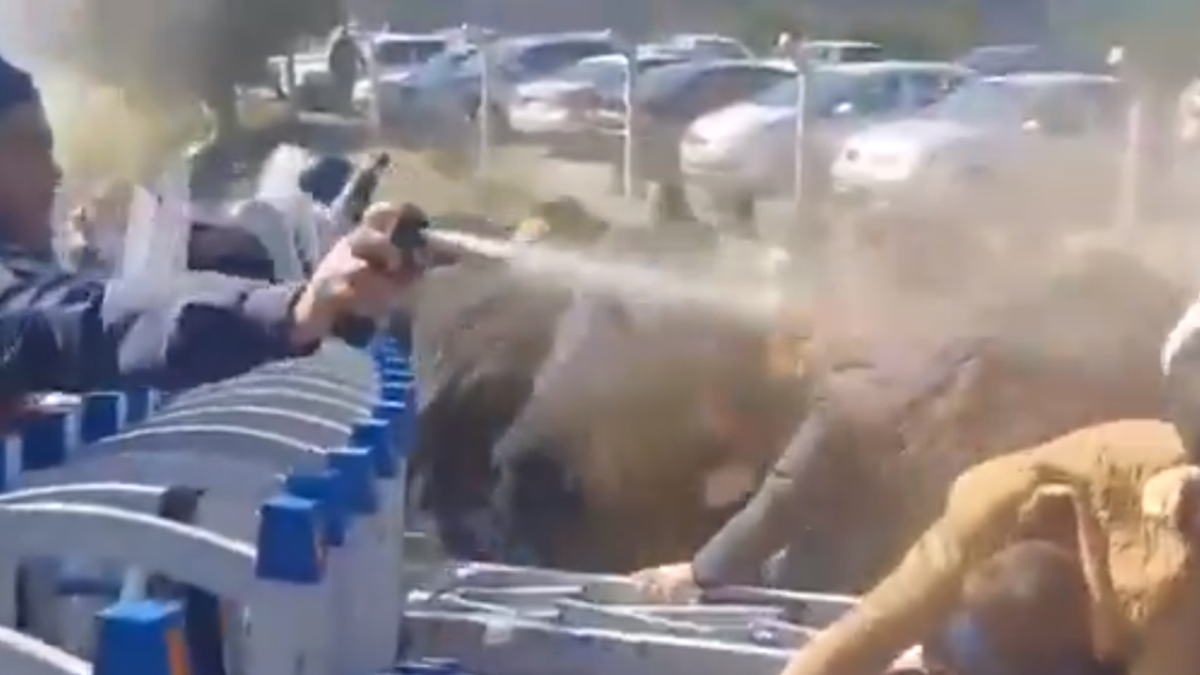 Kınık’ta biber gazlı, TOMA’lı müdahale: İşçiler maden tesisine el koyuyor! Kınık’ta biber gazlı, TOMA’lı müdahale: İşçiler maden tesisine el koyuyor!