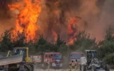 Aralarında İzmir de var… Yangın dosyalarında ret kararı!