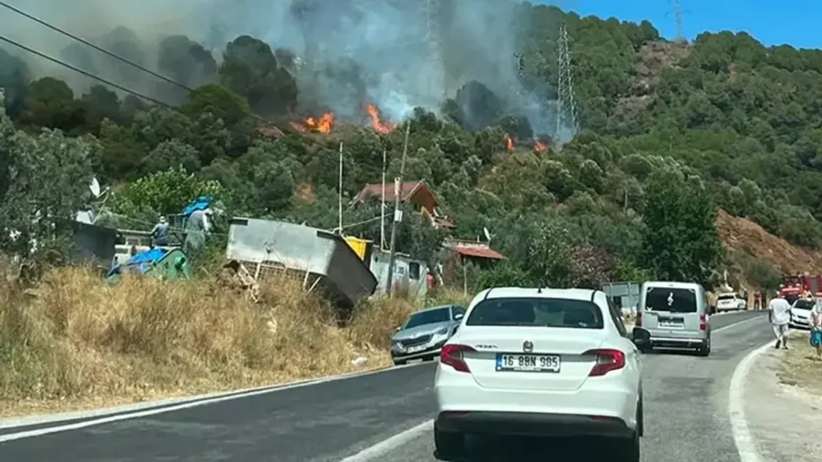 Yalova’da orman yangını!