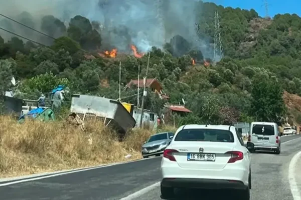 Yalova’da orman yangını! Yalova’da orman yangını!