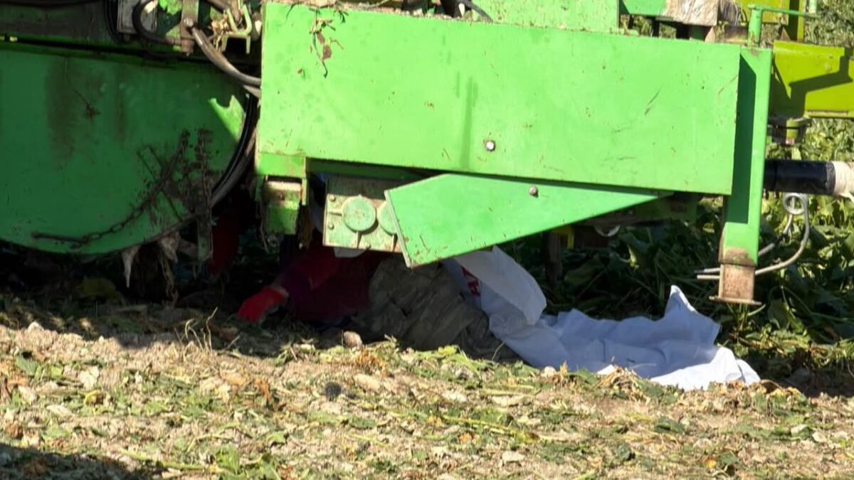 Tarlada can pazarı: 3 çocuk annesi çiftçi yaşamını yitirdi Tarlada can pazarı: 3 çocuk annesi çiftçi yaşamını yitirdi